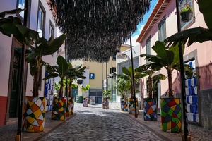 Câmara de Lobos