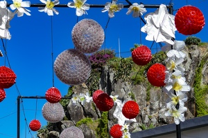 Câmara de Lobos
