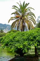 Funchal - Santa Catarina Park