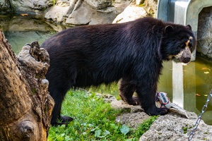 Zoo Frankfurt