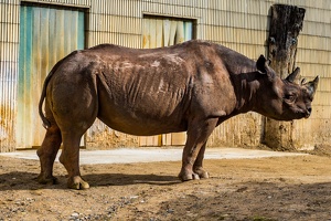 Zoo Frankfurt