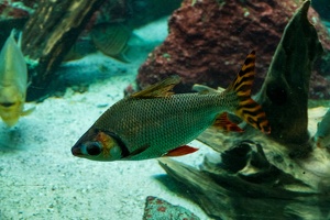 Zoo Frankfurt