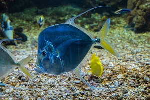 Zoo Frankfurt