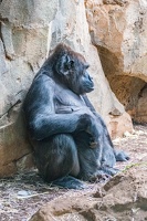 Zoo Frankfurt