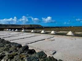 Salinas Janubio