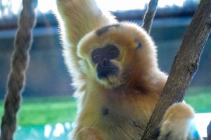 2025-04-28 Zoo Frankfurt-0062