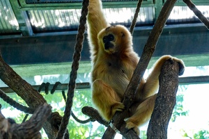 2025-04-28 Zoo Frankfurt-0063