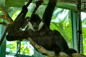 2025-04-28 Zoo Frankfurt-0064