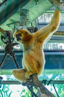 2025-04-28 Zoo Frankfurt-0065