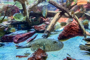 2025-04-28 Zoo Frankfurt-0003
