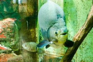 2025-04-28 Zoo Frankfurt-0005