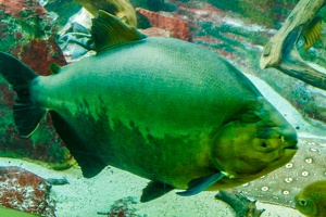 2025-04-28 Zoo Frankfurt-0006
