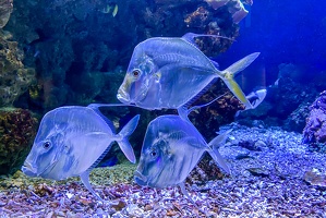 2025-04-28 Zoo Frankfurt-0021