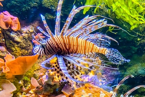 2025-04-28 Zoo Frankfurt-0008