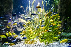 2025-04-28 Zoo Frankfurt-0012