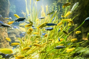 2025-04-28 Zoo Frankfurt-0013