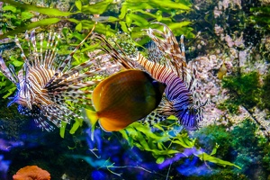 2025-04-28 Zoo Frankfurt-0026