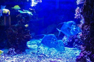 2025-04-28 Zoo Frankfurt-0032