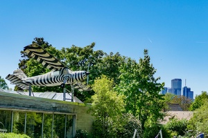 2025-04-28 Zoo Frankfurt-0057