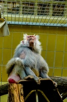 2025-04-28 Zoo Frankfurt-0073-2