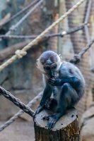 2025-04-28 Zoo Frankfurt-0078