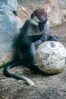 2025-04-28 Zoo Frankfurt-0081