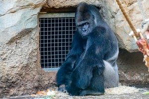 2025-04-28 Zoo Frankfurt-0083