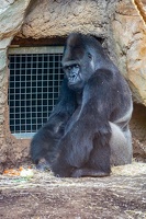 2025-04-28 Zoo Frankfurt-0084