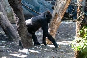 2025-04-28 Zoo Frankfurt-0085