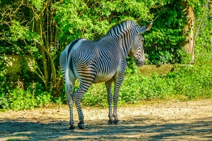 2025-04-28 Zoo Frankfurt-0160