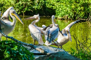 2025-04-28 Zoo Frankfurt-0180