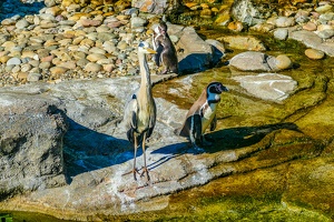 2025-04-28 Zoo Frankfurt-0189