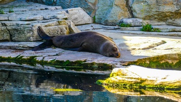 2025-04-28 Zoo Frankfurt-0133