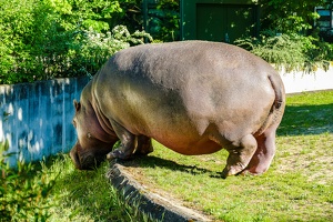 2025-04-28 Zoo Frankfurt-0196