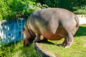 2025-04-28 Zoo Frankfurt-0197