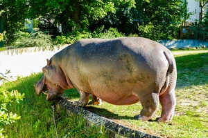 2025-04-28 Zoo Frankfurt-0199