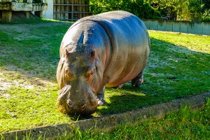2025-04-28 Zoo Frankfurt-0200
