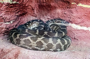2025-04-28 Zoo Frankfurt-0213