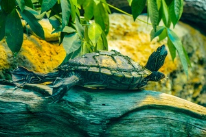 2025-04-28 Zoo Frankfurt-0203