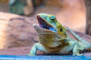 2025-04-28 Zoo Frankfurt-0209