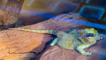 2025-04-28 Zoo Frankfurt-0210