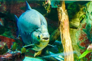 2025-04-28 Zoo Frankfurt-0033