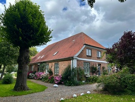 Gut Panker