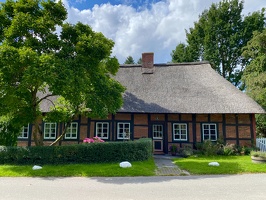 Gut Panker