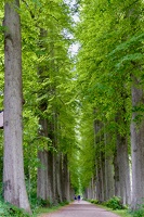 Eutin