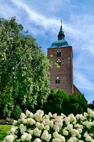 Orth, Fehmarn