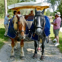 Lüneburger Heide bei Wilsede