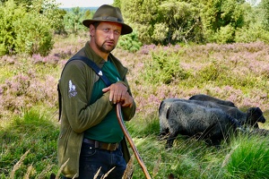 Lüneburger Heide bei Wilsede