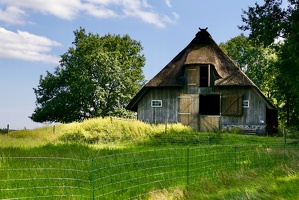 Lüneburger Heide bei Wilsede