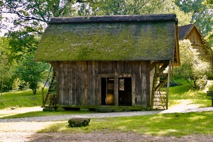 Lüneburger Heide bei Wilsede